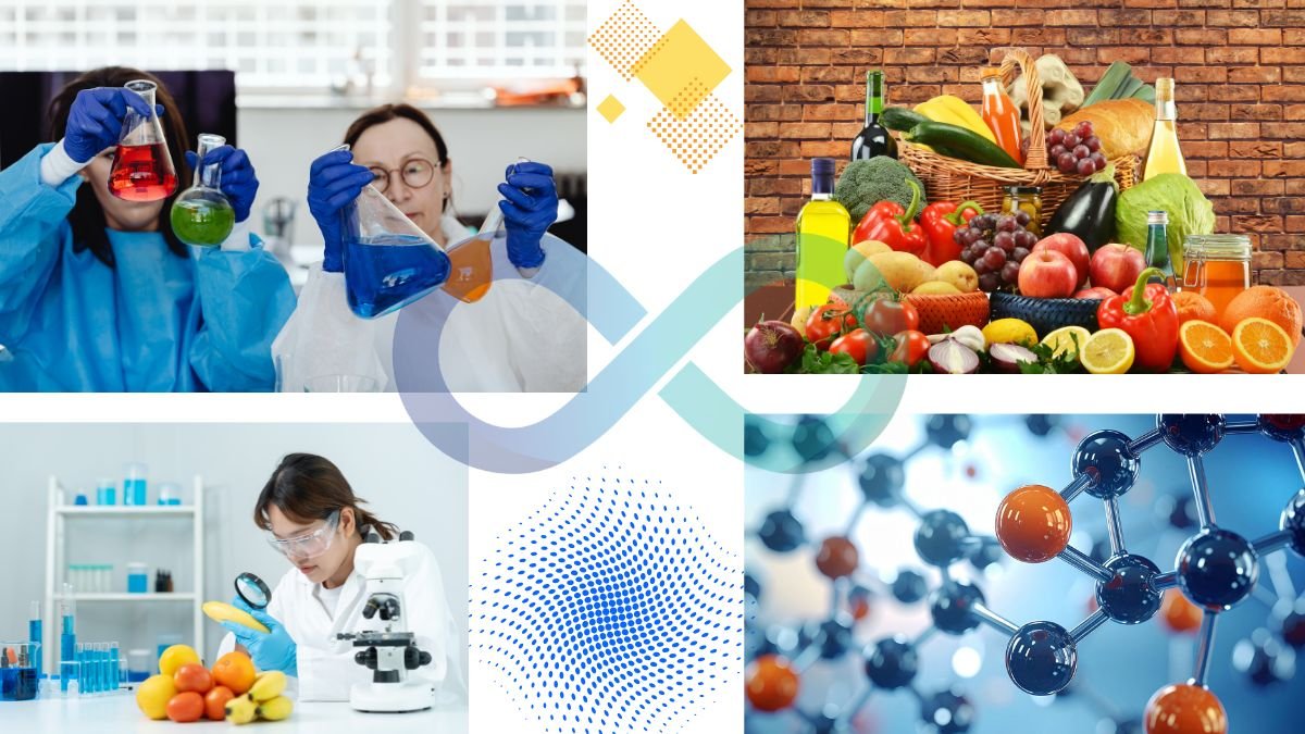 Global Food Grade Additives Standards